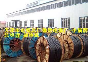 天津电缆总厂橡塑电缆厂 品质与创新的电力传输先锋